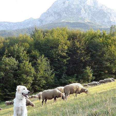Agriturismo Lu Formaggio Hotel Castelli Buitenkant foto